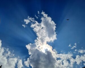 fleurs dans un vase dans un cimetiere
